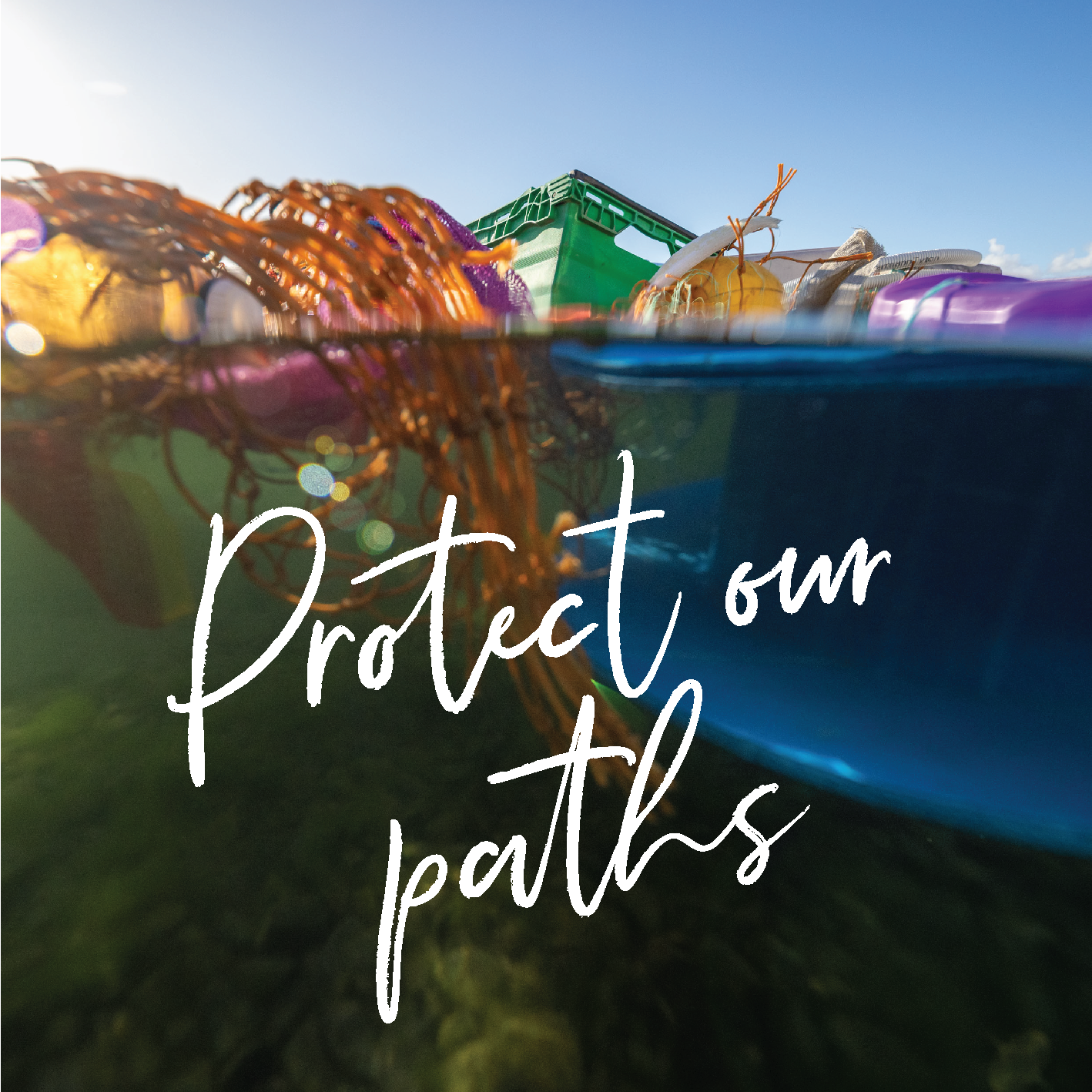 Protect Our Paths Foundation
