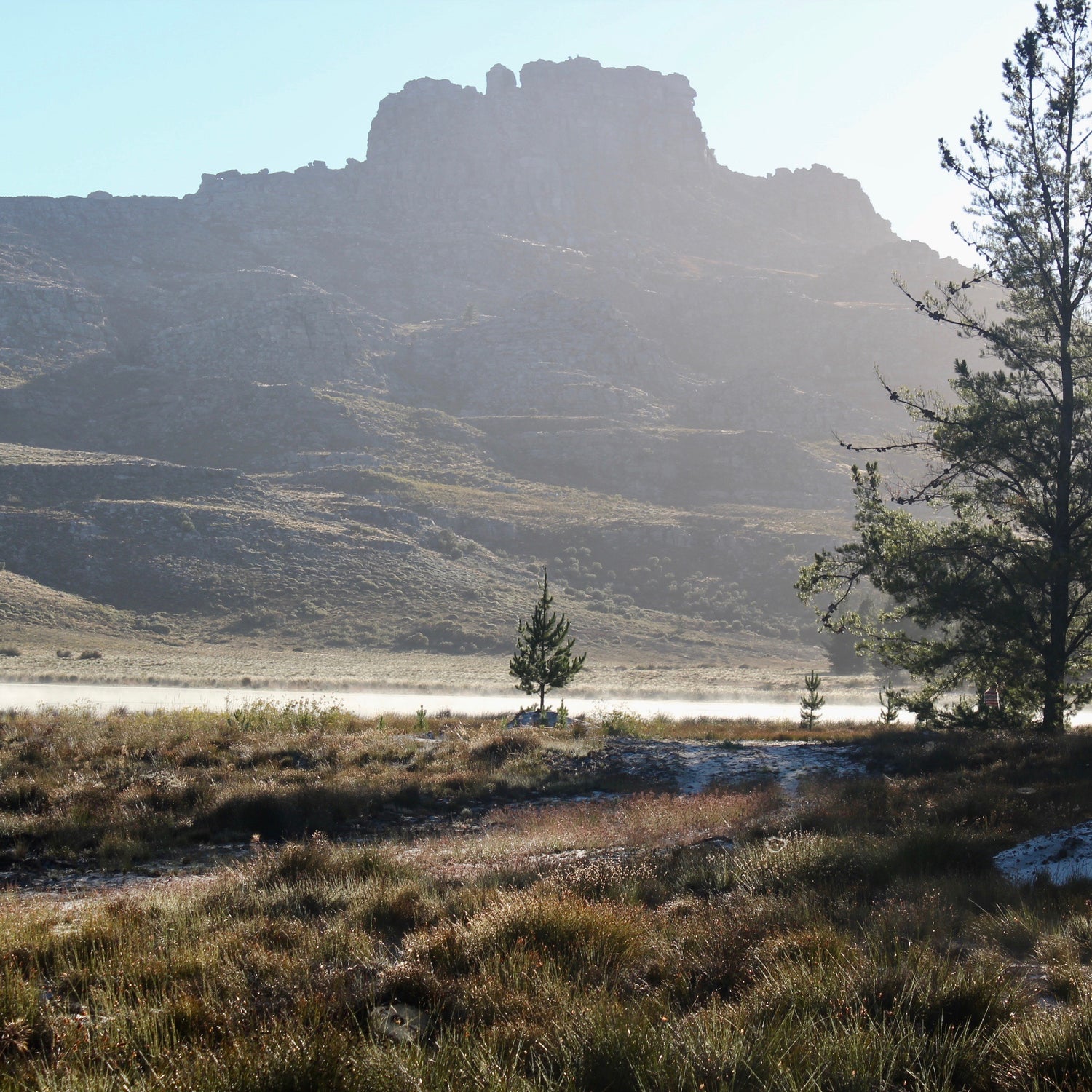 Cederberg Solitude