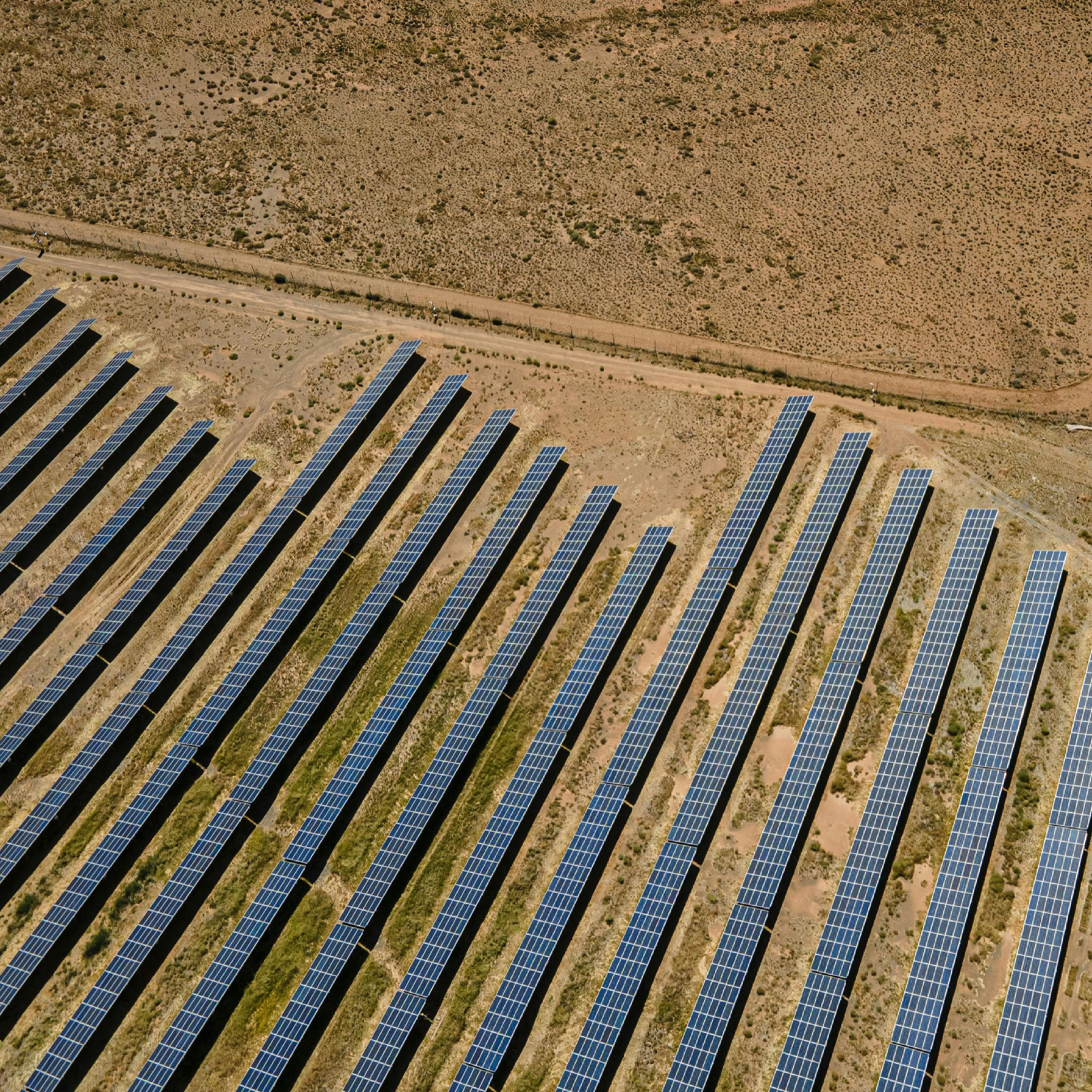 Sealand and Ampli Energy: A Sustainable Partnership for the Future!
