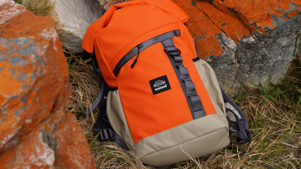 Backpacks