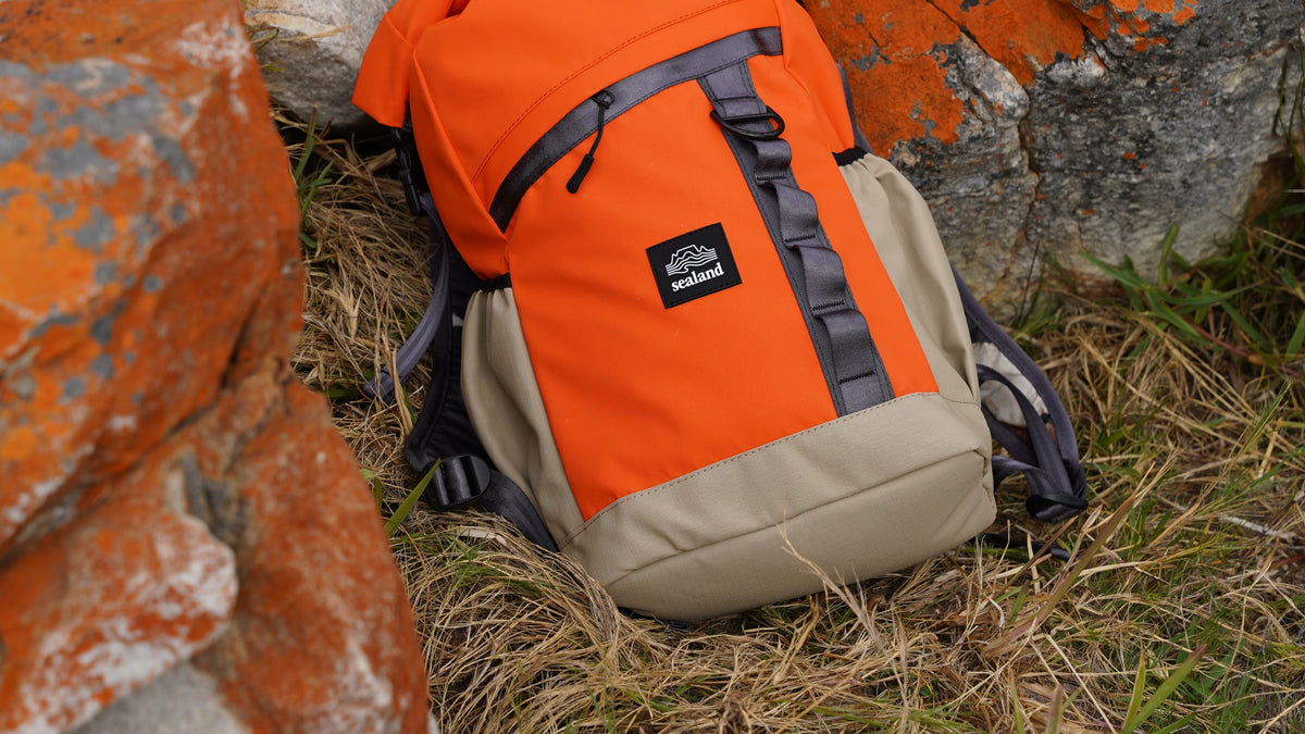 Backpacks