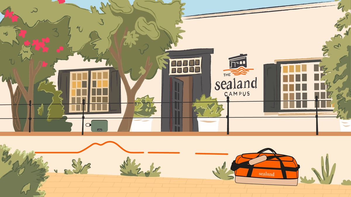 Shoppable scene